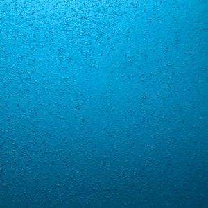 Meet your Posher, Eva